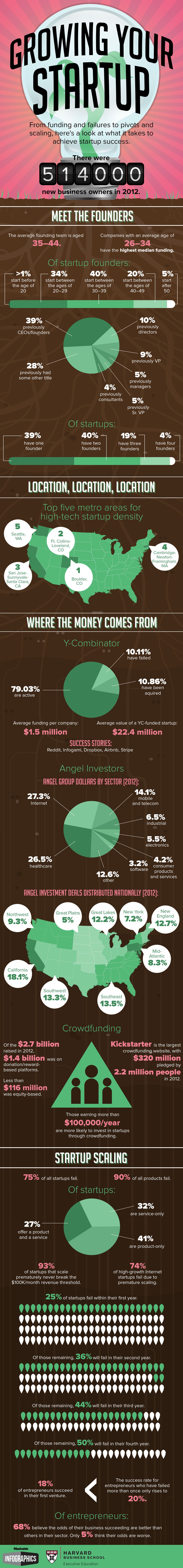 startup infograph